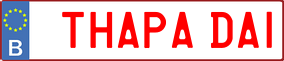 Truck License Plate